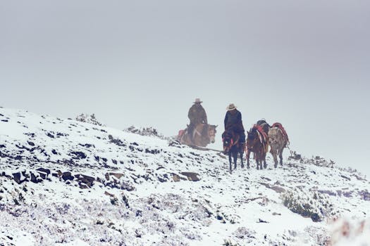 Unlocking Your Insurance’s True Potential: Are These Riders Actually Worth the Extra Dough?