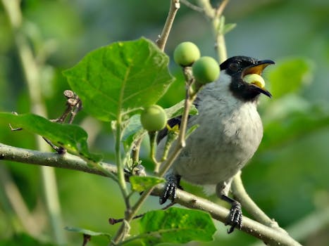 Beyond the Checklist: Harnessing Your Mindful Eating Questionnaire