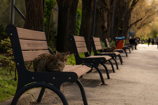 Beyond the Summit Scramble: Reimagining Outdoor Adventures in the Smokies