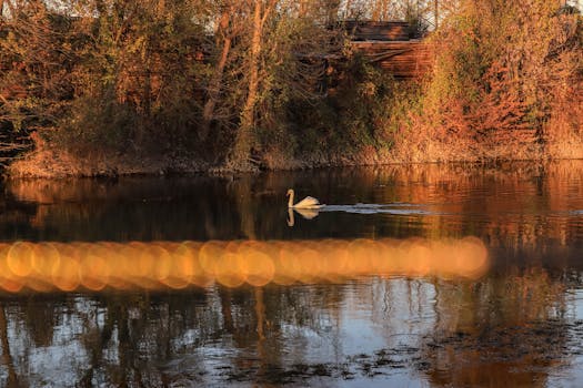 The Judicial Architect: Deconstructing Judge Lauren Lake’s Unique Blueprint for Courtroom Resolution